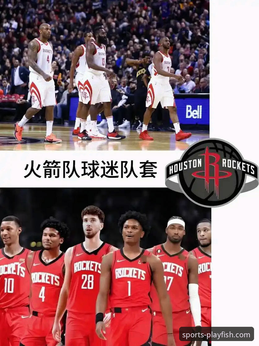 休斯敦火箭vs纽约尼克斯体育盛宴：乐鱼体育平台观赛体验与赛事分析对比